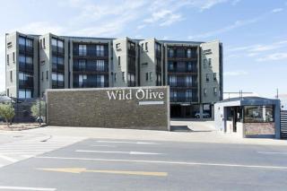 Staycation on Wild Olive - Windhoek - 1