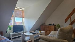 LaViva Home 24 - Studio mit Galerie - 6