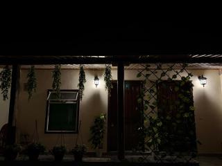 Pine Hideaway - Murree - 4