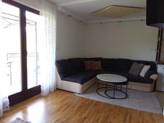 Holiday Home Dzeni - 1