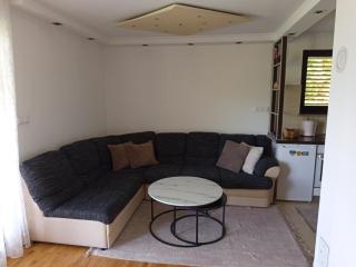 Holiday Home Dzeni - 2