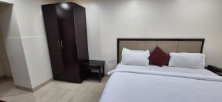 Hotel Royal O Mahal - New Delhi - 8