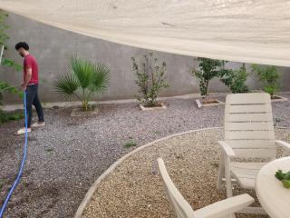 Dream rentals - green - 9