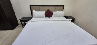 Hotel Royal O Mahal - New Delhi - 6