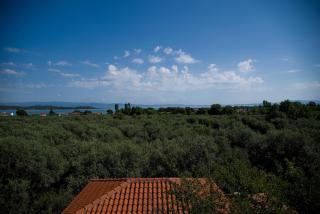 Olivegrove House - Vourvourou - 5