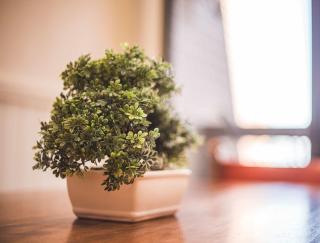 Tahoe Lakeside Retreat - Lakefront Condo - 1