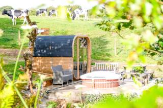 The Gambo Shepherd's Hut - Kidwelly - 3