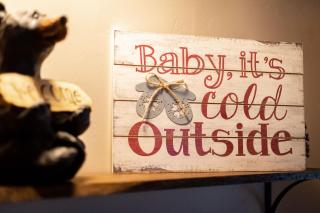 Come Snuggle Up at Cozy Bear Cabin - 9