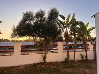Fantástico Chalet independiente en Zahora - Cádiz - 3