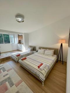 Lina Apartment Prizren - Prizren - 0