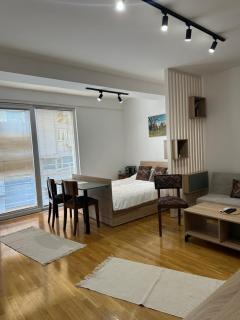 Skopje Centre APT near Zoo with Private Parking - Skopje - 8