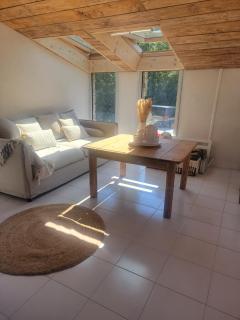 Les agapanthes - Paimpol - 8