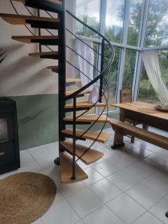 Les agapanthes - Paimpol - 6