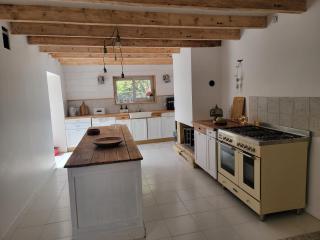 Les agapanthes - 4