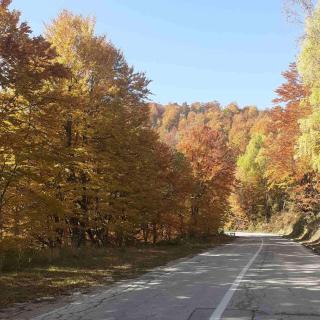 Apartman Kušići - 1