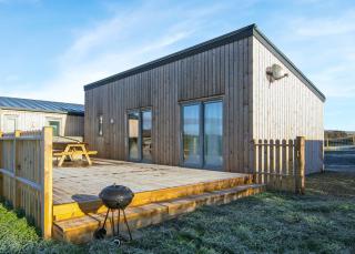 Castle Pren Lodges - Llanddewi Ystradenny - 1