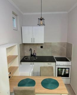 Georgeous lux apartment # 1 - Foča - 6