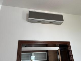 Saray Luxury - 9