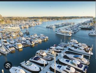 2 Bedroom Deluxe Apt with patio & Ocean View Venice MDR - 5