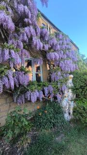 The Hidcote Hideaway, Cotswolds - Mickleton - 1