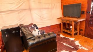 Wagon Cella faroeste com Spa em Campos - 1