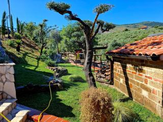 B&B Luisana Rural Guesthouse - 7