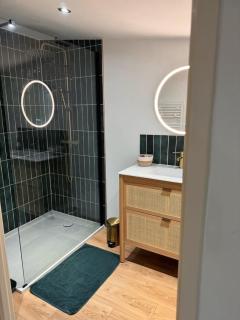 Chambre indépendante avec salle de bain et toilettes - Romilly-sur-Andelle - 3
