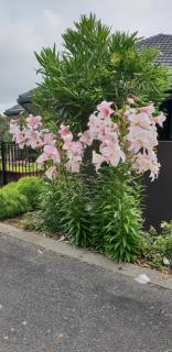 Rosandra Retreat 2 - 8