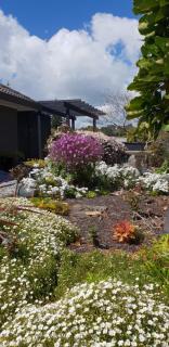 Rosandra Retreat - New Plymouth - 5