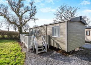 Castle Brake Holiday Park - Woodbury - 7