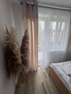 Mewa - Władysławowo - 8