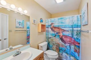 5159 - The Sandy Pelican - 1