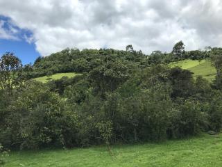 Casa tipo Chalet en el pasochoa - 2