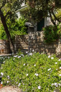 Seaside secluded apartments Cove Torac, Hvar - 8653 - Gdinj - 2