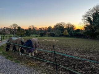 South Downs Lodge - Droxford - 4
