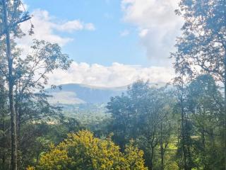 Harriet's Hideaway - 6