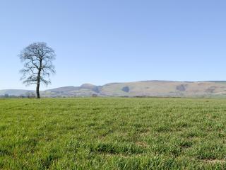 Upper Close - Uk10873 - Evenjobb - 6