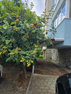 Apartments with parking space Dubrovnik - 24814 - 5