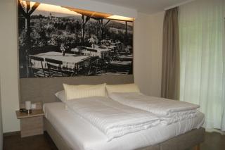 Hotel Restaurant Muckensee - Lorch - 5