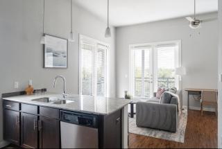 Landing Apartments Kyle - Austin - 4