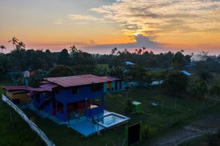 Guacamayo Azul - Iquitos - 0