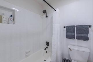 Pool! Games! Dogs! Space! - 3