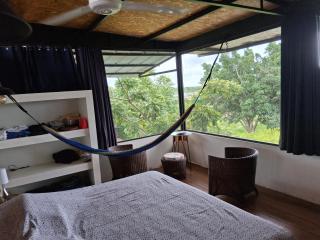 Guacamayo Azul - Iquitos - 4