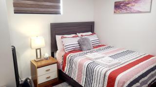 Two luxury bedrooms in the basement - Winnipeg - 0