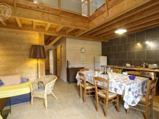 Écogîte confortable proche St-Etienne et Lyon - FR-1-496-190 - 1