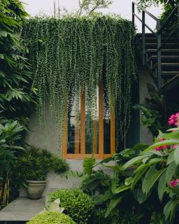 Sesatha waters edge villa - 1