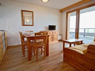 Appartement 2 pièces + cabine, proche pistes avec grande terrasse - FR-1-549-157 - Chamrousse - 0