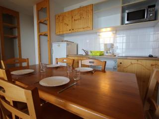 Appartement 2 pièces + cabine, proche pistes avec grande terrasse - FR-1-549-157 - 5
