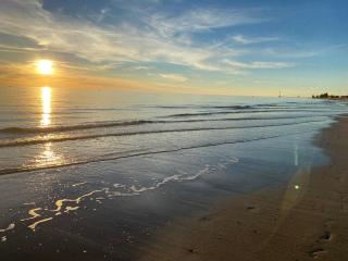 The Palms West Beach - 8