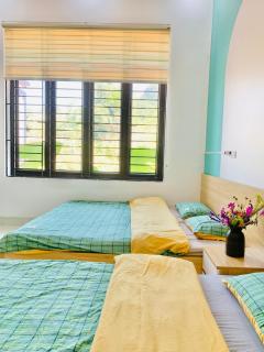 Thanh Truc Villa & Flower - 7